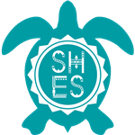 TURTLE LOGO TURTLE LOGO